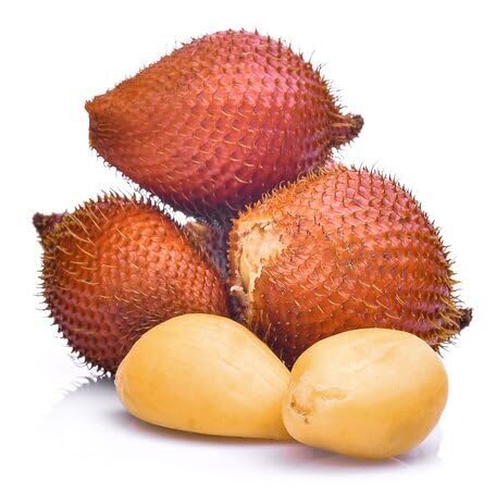 Brown Salak Fruit Heirloom Non Gmo Seeds for Planting