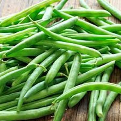 beans Vegetable Seeds for Planting