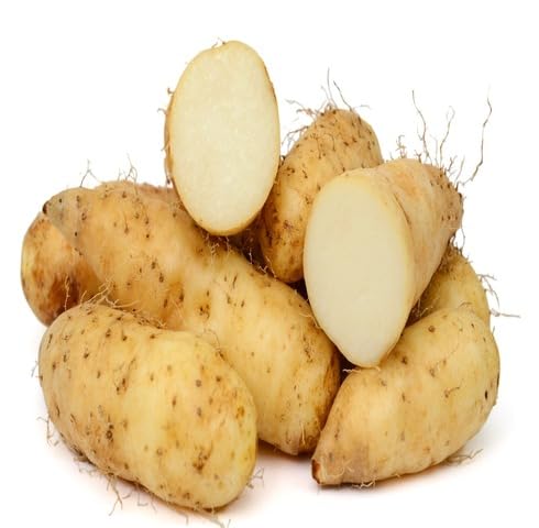brown yam Vegetable Seeds for Planting