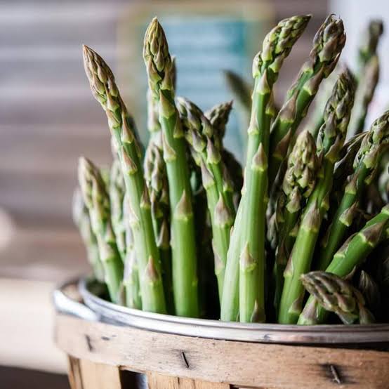 Asparagus Early of Argenteuil vegetable microgreen seeds for home growing