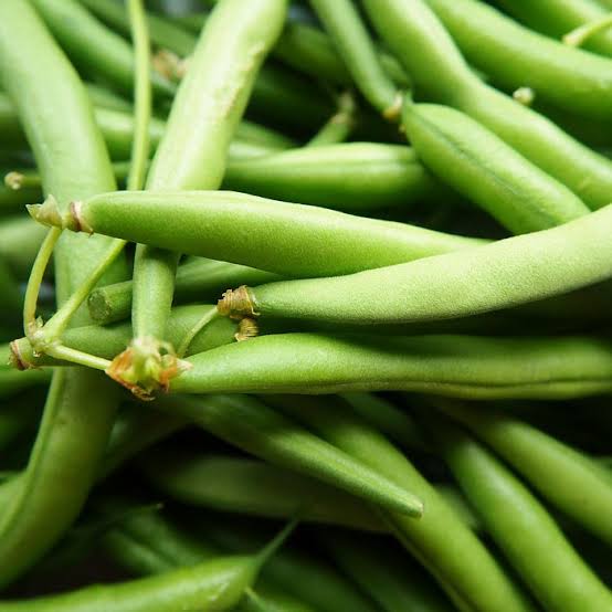 Bush Beans Seeds for Planting – Green Bean Vegetable Seeds for Home Gardens