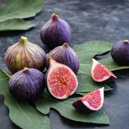 Common Edible Fig Seeds for growing Ficus carica purple-brown pink flesh fruit trees