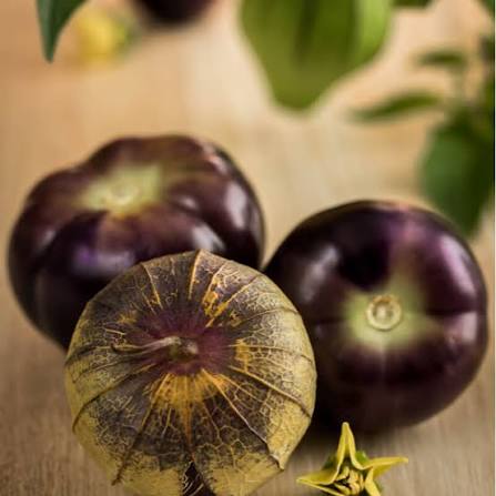 Purple Tomatillo Seeds for growing Physalis ixocarpa purple husk tomato garden plants