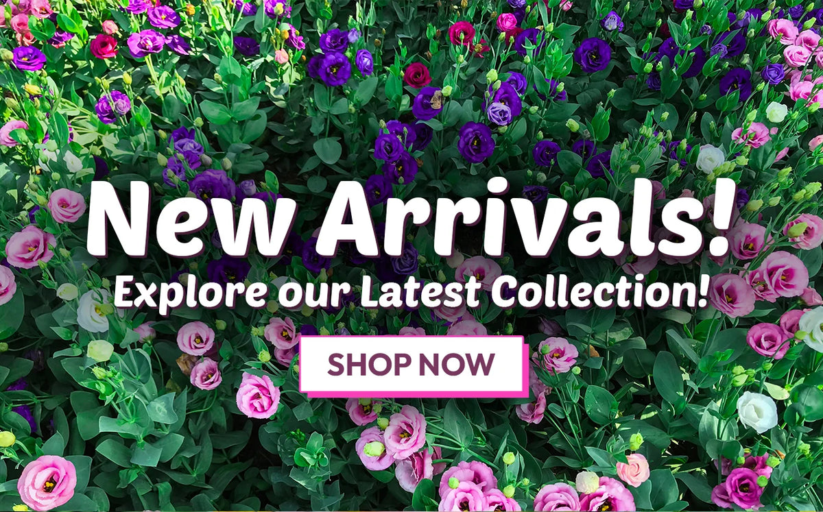 New Arrivals collection banner featuring colorful lisianthus flowers with a Shop Now call-to-action