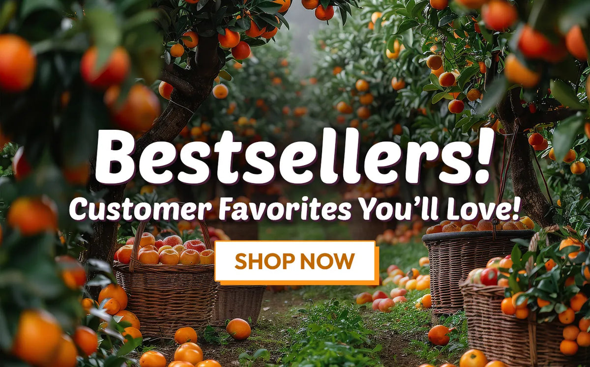 Bestsellers collection banner featuring a lush citrus orchard with ripe oranges, harvest baskets, and a Shop Now call-to-action