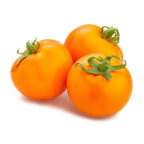 tomato Vegetable Seeds for Planting