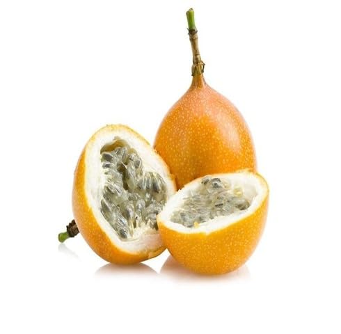 Orange Passiflora Fruit Heirloom Non Gmo Seeds for Planting