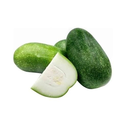ashgourd Vegetable Seeds for Planting