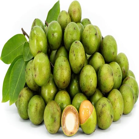 Green Mamoncillo Fruit Heirloom Non Gmo Seeds for Planting