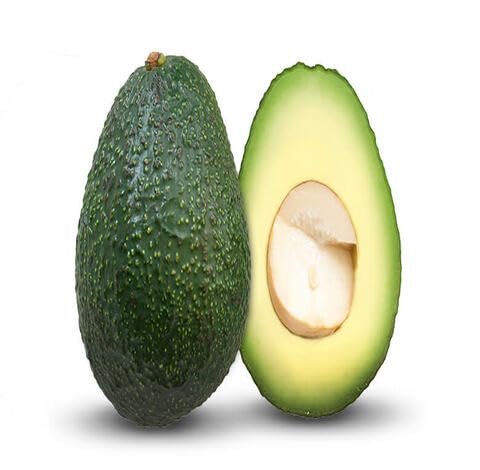Green Avocado Fruit Heirloom Non Gmo Seeds for Planting