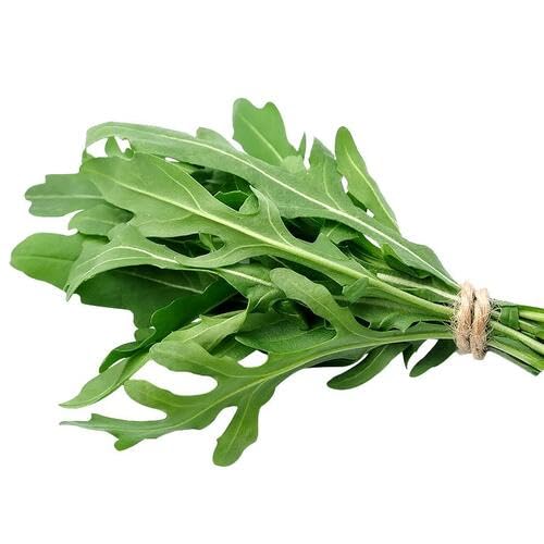 arugula Vegetable Seeds for Planting
