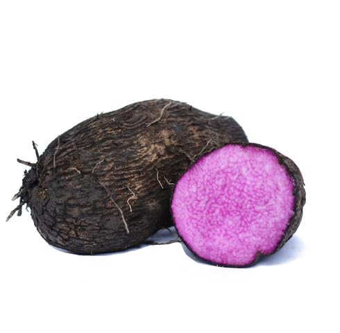 dioscorea alata Vegetable Seeds for Planting