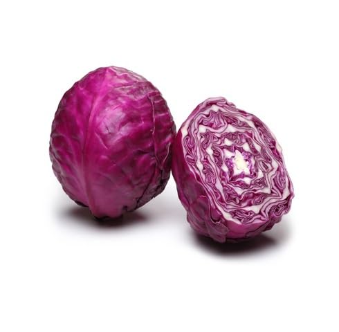cabbage Vegetable Seeds for Planting