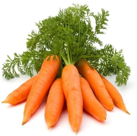 carrot Vegetable Seeds for Planting