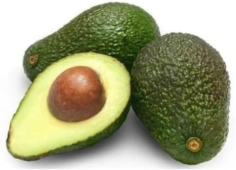 Green Avocado Heirloom Non Gmo Seeds for Planting