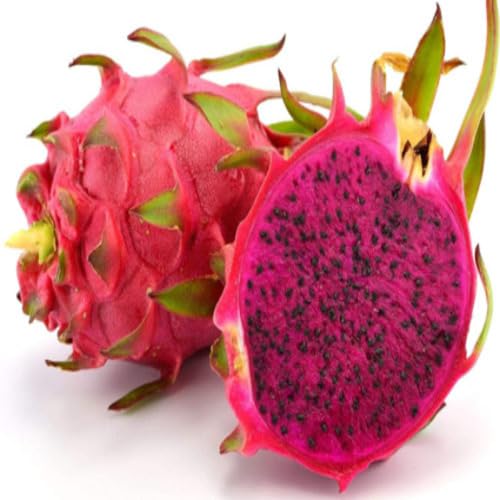 Pink Dragonfruit Heirloom Non Gmo Seeds for Planting