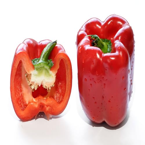 capsicum Vegetable Seeds for Planting
