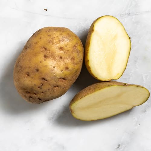 brown potato Vegetable Seeds for Planting