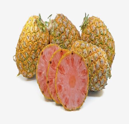 Pink Pineapple Fruit Heirloom Non Gmo Seeds for Planting