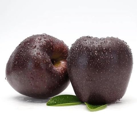 Black Apple Fruit Heirloom Non Gmo Seeds for Planting