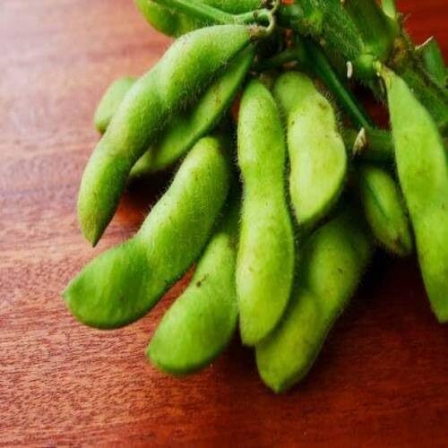 soyabeans Vegetable Seeds for Planting