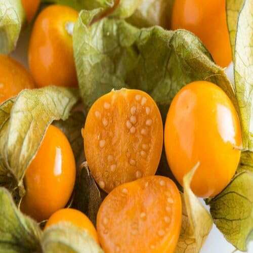 Yellow Physalis Alkekengi Fruit Heirloom Non Gmo Seeds for Planting