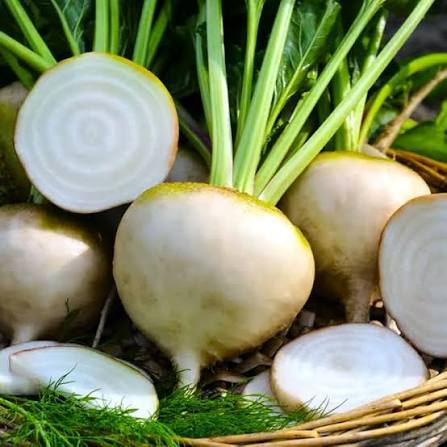 Albino Beet Seeds white beetroot garden vegetable variety for planting