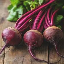 TEMP Beetroot Seeds root vegetable variety for home garden planting