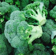 Broccoli Seeds traditional garden vegetable variety for home planting