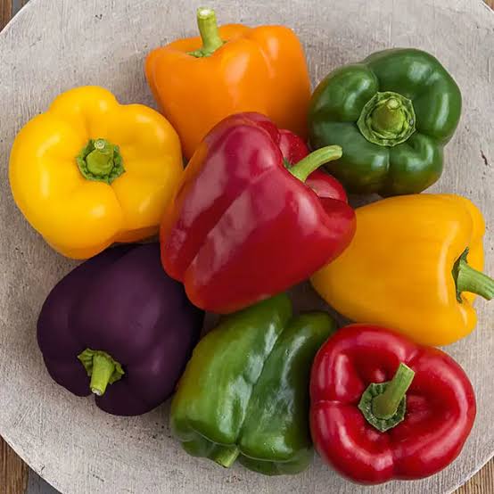 Colored Sweet Pepper Seeds PGH variety for home garden planting
