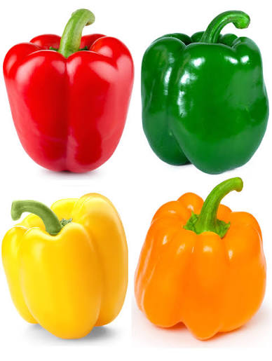 Colored Sweet Pepper Seeds PGH variety for home garden planting