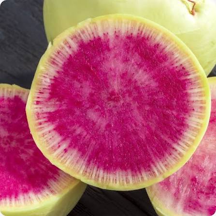 Watermelon Radish Seeds for growing heirloom Non-GMO colorful pink center radishes
