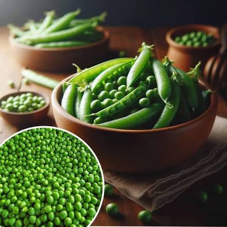 Winter Garden Pea Seeds cool-season vegetable variety for home planting