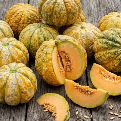 Delice de la Table Melon Seeds French garden variety for planting