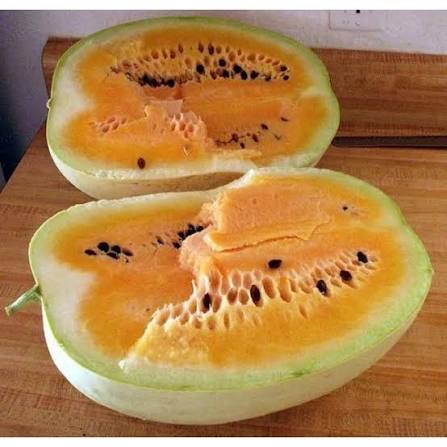 Desert King Watermelon Seeds yellow flesh garden fruit variety for planting