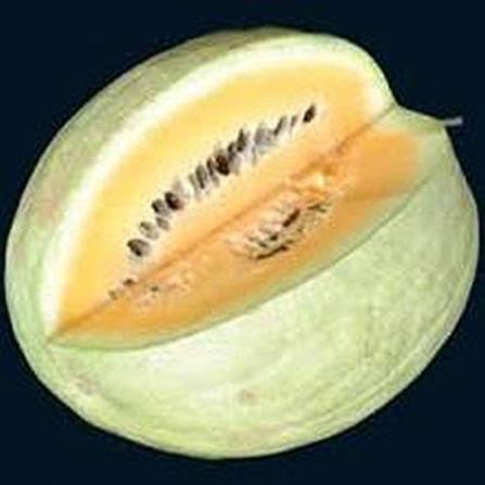 Desert King Watermelon Seeds yellow flesh garden fruit variety for planting