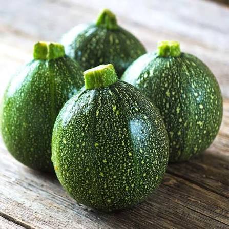 Desi Chappan Kaddu Seeds Indian summer squash variety for planting