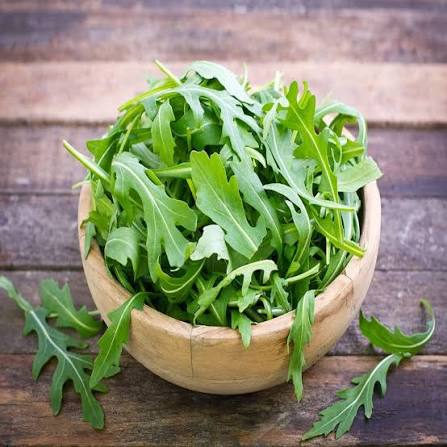 Rocket Eruca Sativa Arugula vegetable microgreen seeds producing fresh green peppery leaves