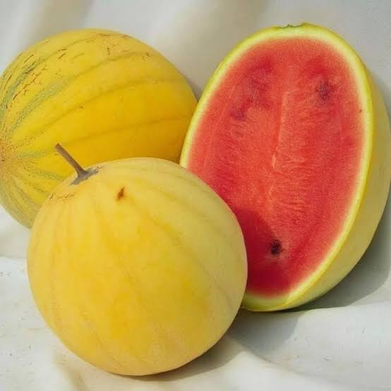 Golden Midget Watermelon Seeds for growing heirloom golden rind watermelons