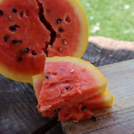 Golden Midget Watermelon Seeds for growing heirloom golden rind watermelons