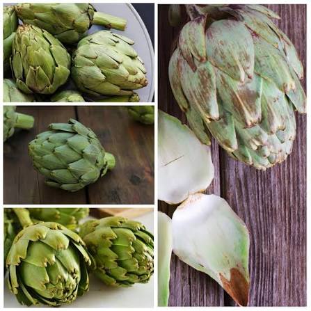 Artichoke Green Globe vegetable microgreen seeds for home growing