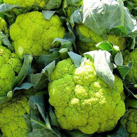 Green Verde Cauliflower Seeds garden vegetable variety for planting