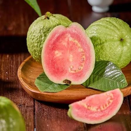 Bulk Guava Seeds for growing Psidium guajava white flower tropical fruit trees and shrubs
