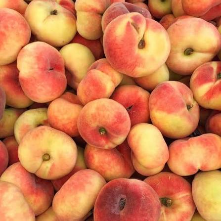 Flat Peach Seeds for growing heirloom sweet donut peach fruit trees