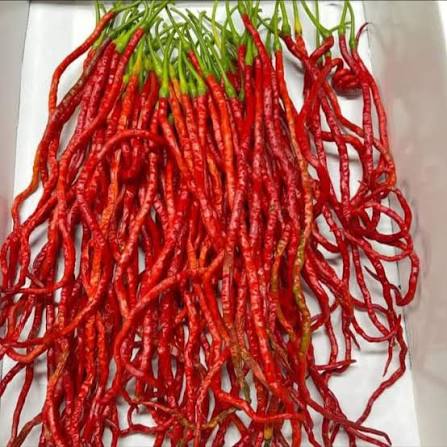 Long Dabbi Hot Pepper Seeds – Elongated Red Dry Pepper Garden Variety