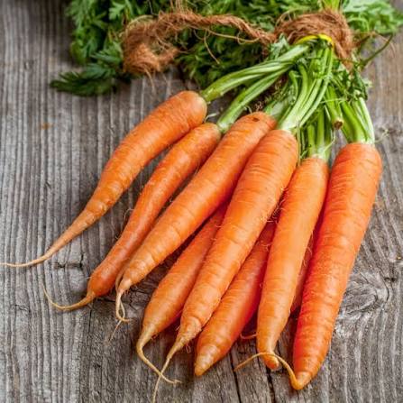 Nantes Carrot Seeds – French Carrot Variety for Growing Sweet Orange Carrots