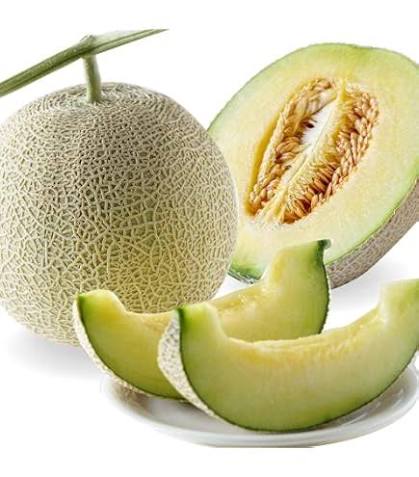 Netted Muskmelon Seeds – Sweet Garden Fruit Melon Variety