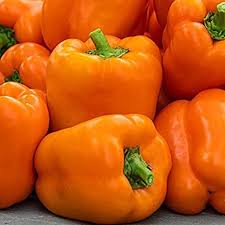 Orange Horizon Bell Pepper Capsicum Seeds for Planting – Heirloom Sweet Orange Peppers