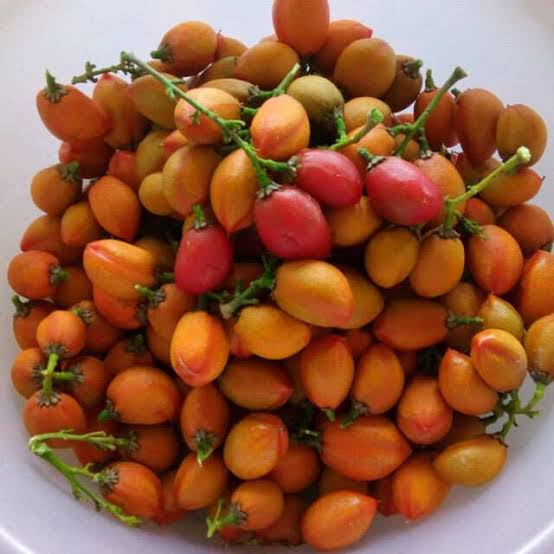 Peanut Butter Fruit Seeds tropical garden variety for home planting