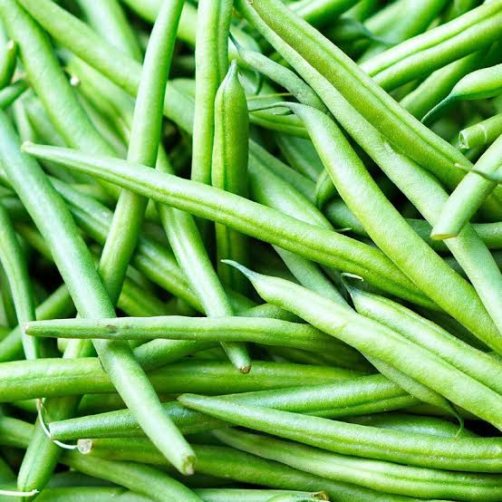 Pole Bean Seeds for Planting – Climbing Green Bean Seeds for Home Vegetable Gardens